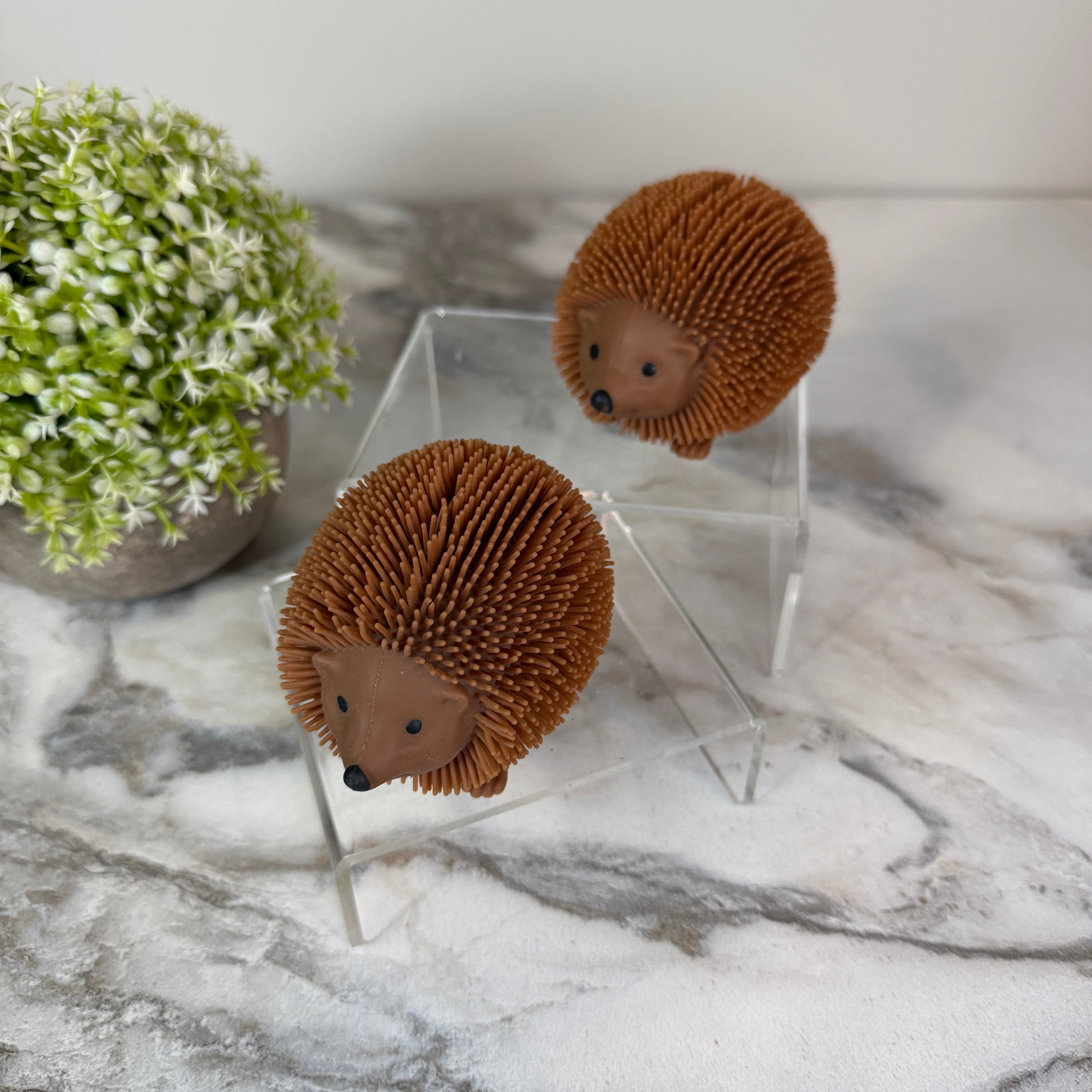Squishy Toy - Hedgehog