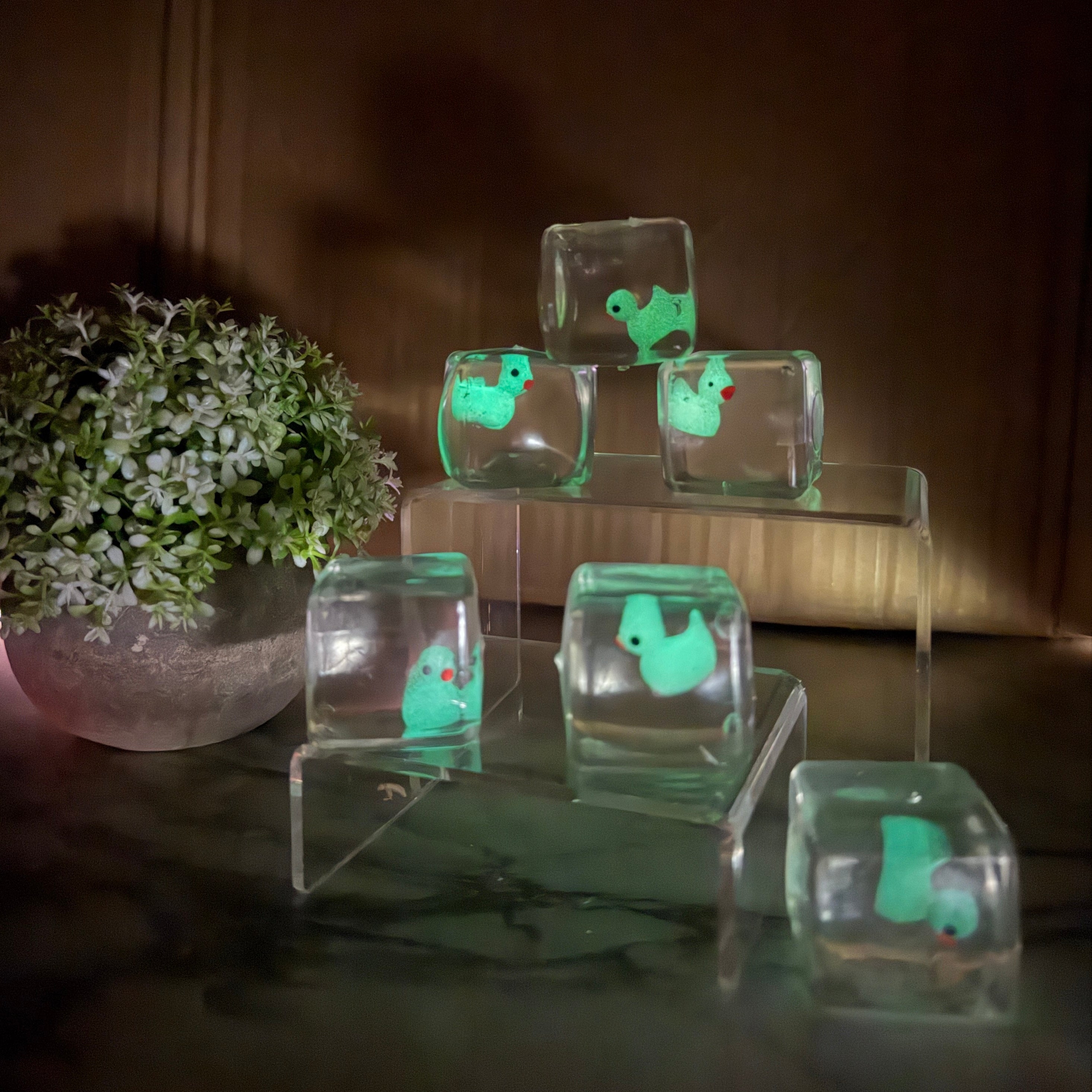 Squishy Toy - Ice Cube Glow In The Dark Duck