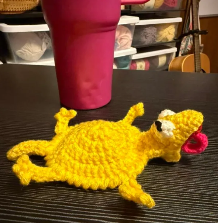 Silly Lizard Coaster