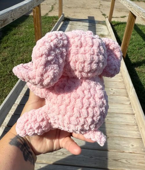 Baby Elephant